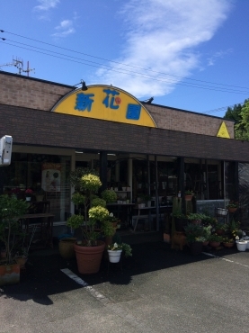「新花園」　（鹿児島県阿久根市）の花屋店舗写真1